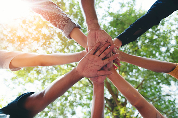culture integrity responsibility mintalc