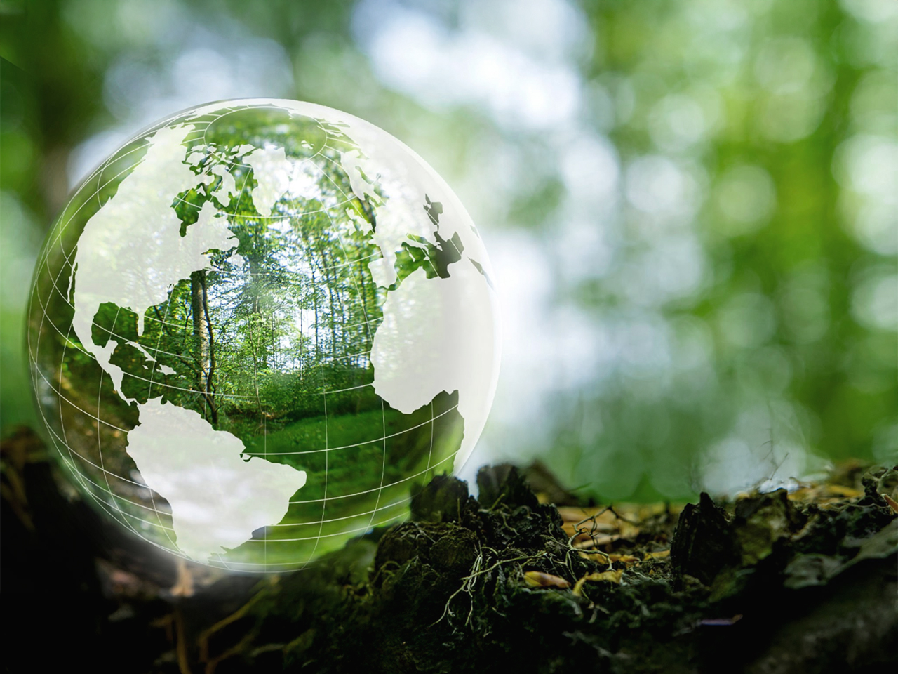 enviromental management responsibility mintalc